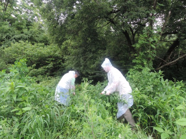 30c38adfa7540e344f60c573e3270e68_1500169